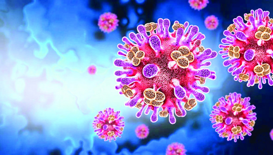 Screenshot 2026-01-30 at 12-17-51 Emiten alertas sanitarias en aeropuertos de EE.UU. por el Virus Nipah